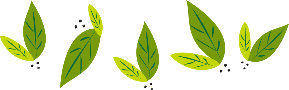 Nature Leaf